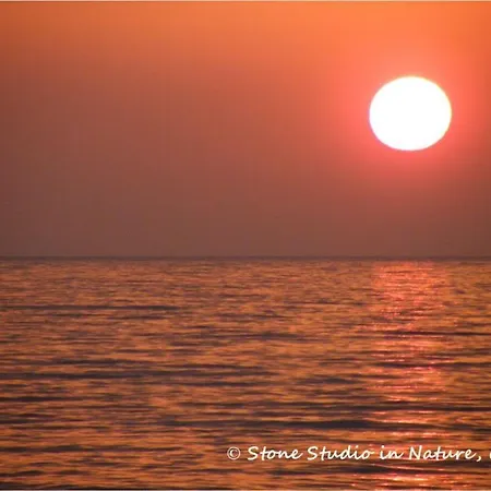 Stone In Nature With View To Corfu Town! 公寓 Evropouloi